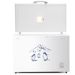 Hisense FC-55DD4SA 550L Chest Freezer – Fast Freeze, A++ Energy Saving, Mechanical Thermostat, Over-Temperature Alarm, Eco-Friendly R600a Refrigerant, Low Noise Design